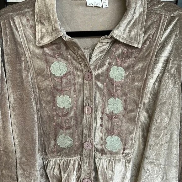 NWOT Parsley & Sage Velvet Top Floral Embroidered Boho Button Down Taupe - Picture 3 of 6
